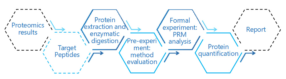 Biomedical Translational And Target Research Omics Services Workflow
